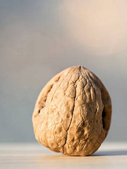 इस तरह खाएंगे अखरोट तो हमेशा फिट रहेगा दिल