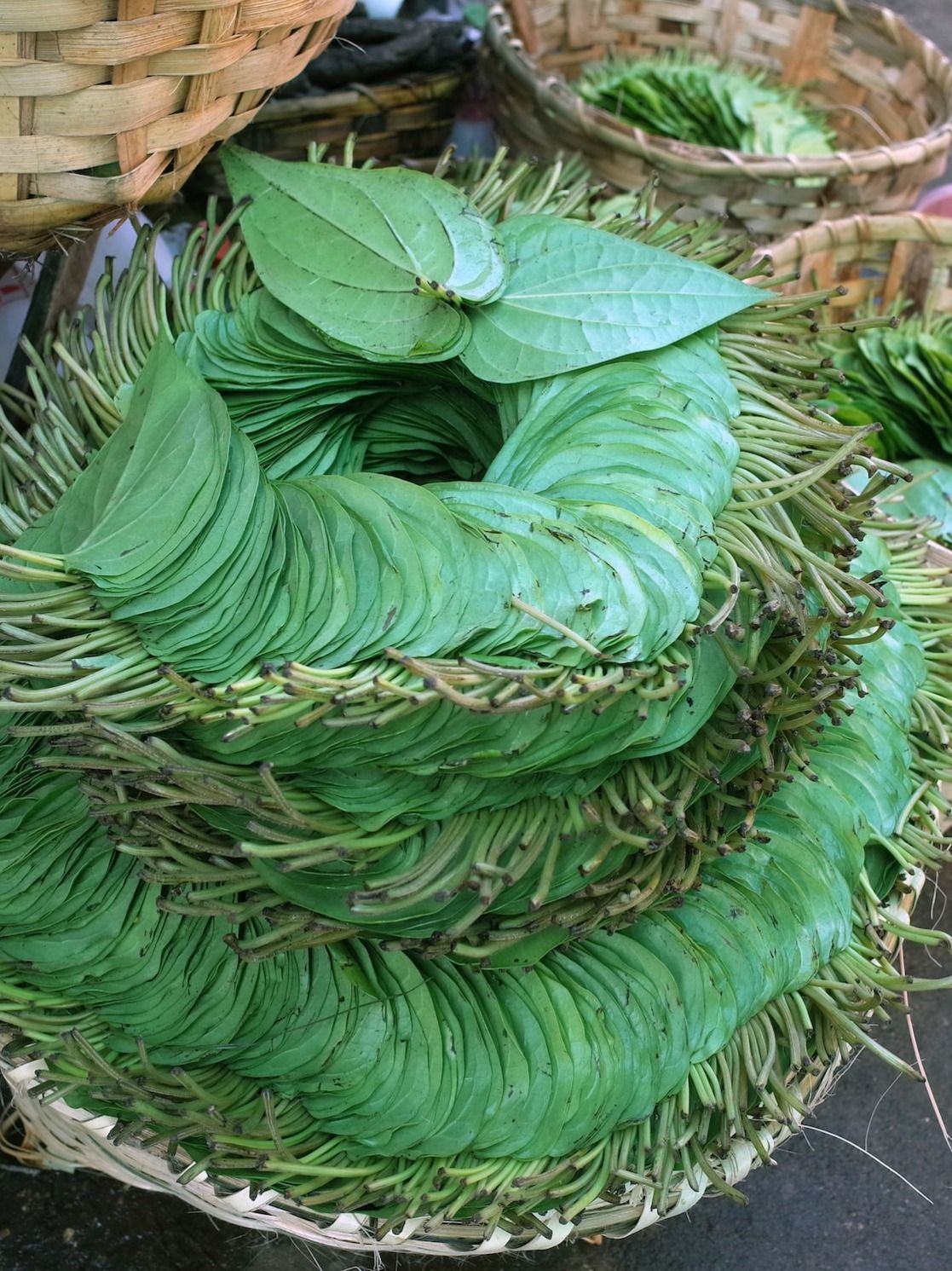 কোলেস্টেরল কন্ট্রোলের সহজ উপায় পান 