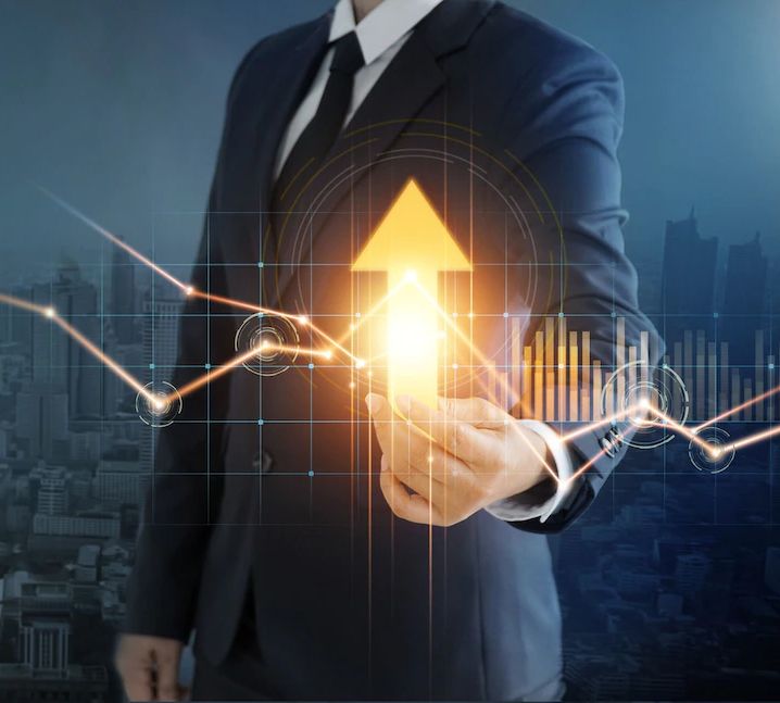mirza international share price