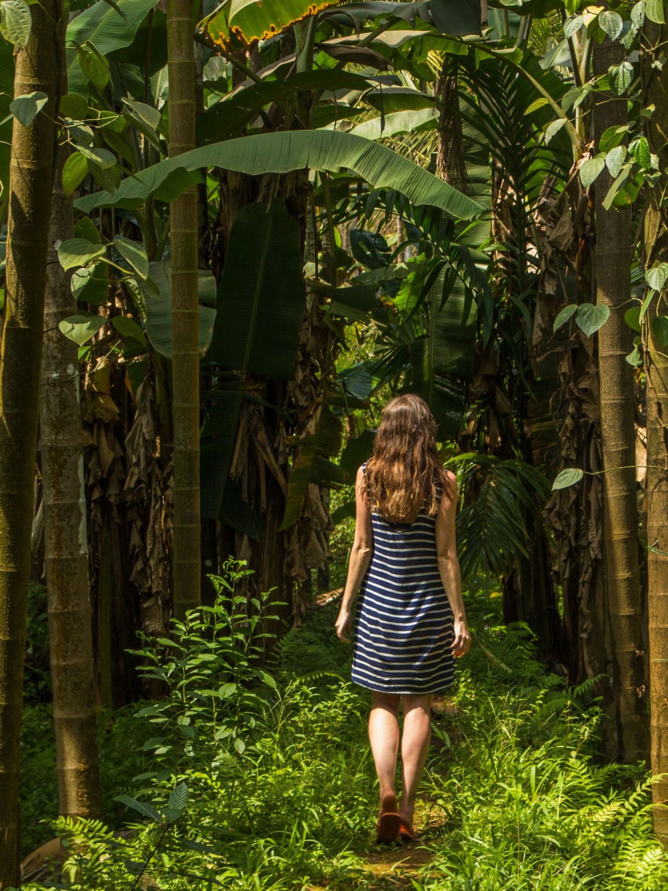 The Perfect Weekend Itinerary: Exploring Goa