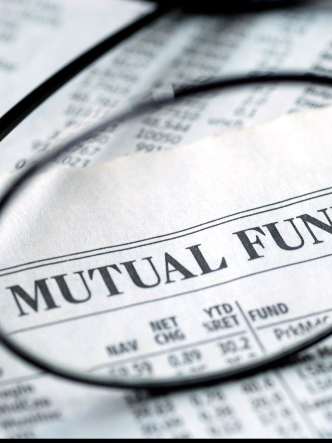 Top-performing mutual funds: These 8 small cap schemes have given up to 30% returns since launch