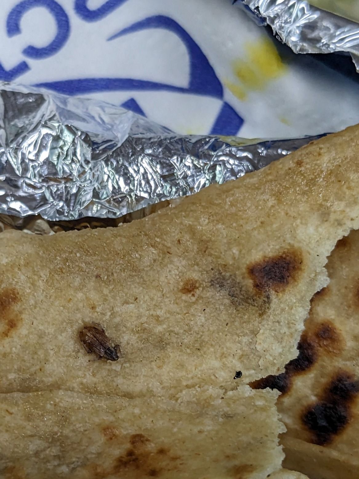 Vande Bharat Express: Cockroach found in food served on Bhopal-Gwalior train route; IRCTC responds