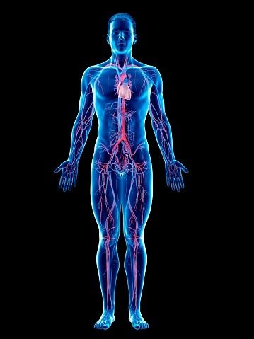 हीमोग्लोबिन की कमी दूर करने के लिए खाएं ये चीजें, नस-नस में भर जाएगा खून