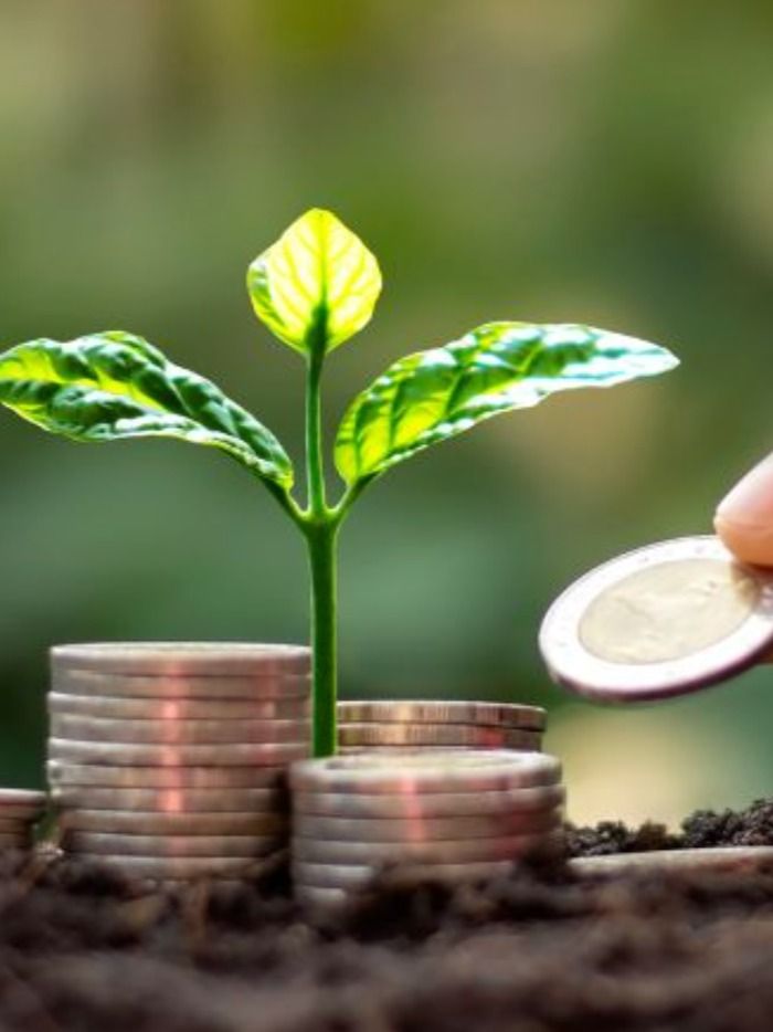 SBI Long Term Equity Fund, Motilal Oswal Long Term Equity Fund, HDFC TaxSaver: ELSS funds that have given around 22% return in one year