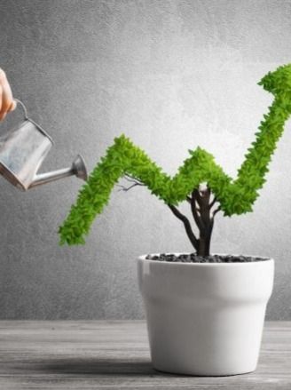 HDFC Multi Cap Fund vs Kotak Multicap Fund vs Nippon India Multi Cap Fund: These multi-asset funds gave more than 16% in one year