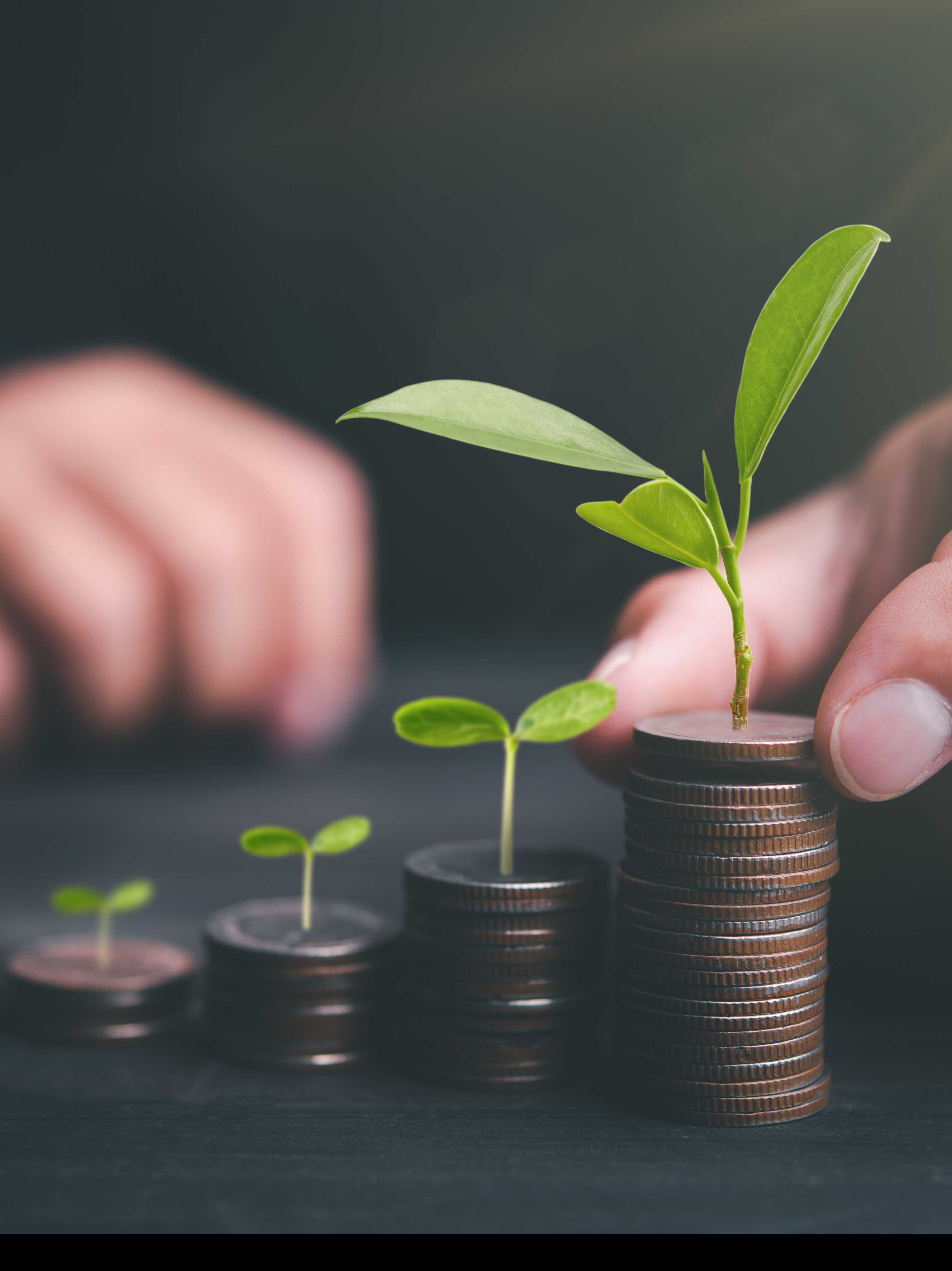 Aditya Birla Sun Life Dividend Yield Fund vs ICICI Prudential Dividend Yield Equity Fund vs HDFC Dividend Yield Fund: Mutual funds returns, AUM, NAV, risks and more