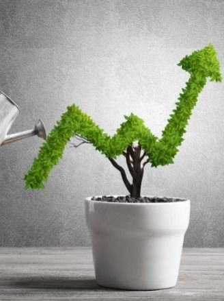 HDFC Mutual Fund vs SBI Mutual Fund vs Kotak Mutual Fund: Where these mutual funds invested in September