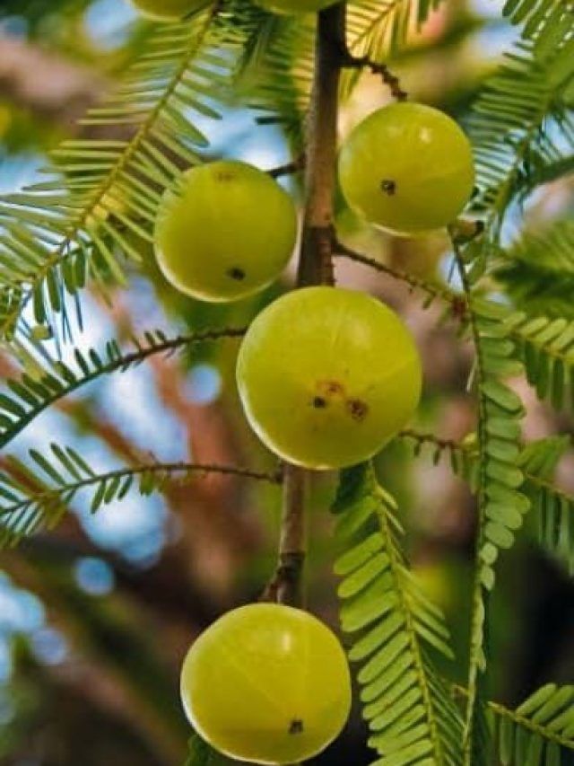 Woman with beauty products