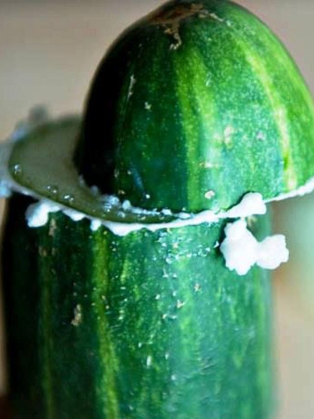 क्या वाकई खीरे के ऊपरी हिस्से को काटकर घिसने से कड़वापन दूर होता है? जानें सच्चाई