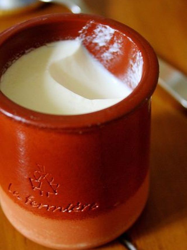 दही में हो सकती है मिलावट, FSSAI ने बताया पहचान का तरीका