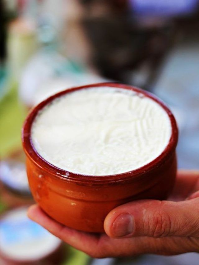 15 मिनट में जमाना है परफेक्ट दही तो नोट कर लें ये फॉर्मूला