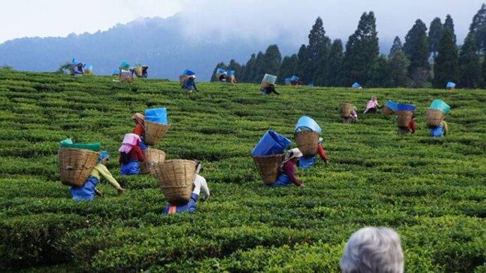 Assam Tourism 2