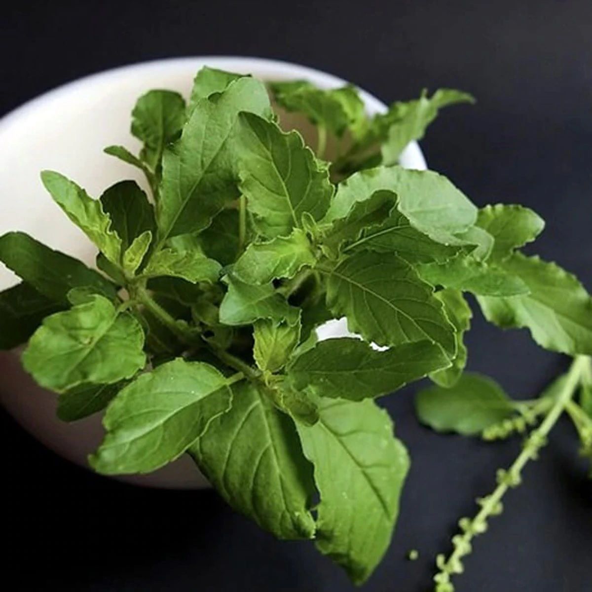 Yalangoch va xochga mixlangan qizlar bilan porno