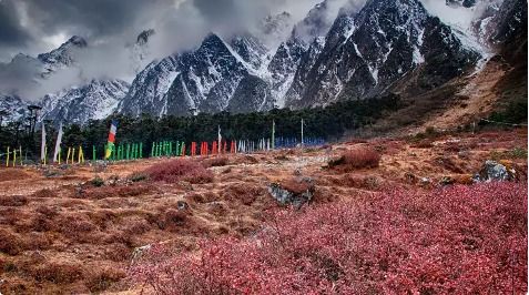 Yumthang