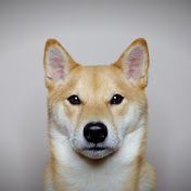 haru