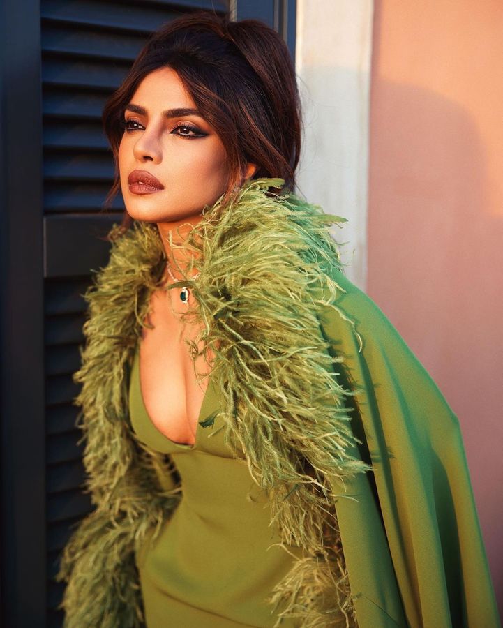 पतला होना जरूरी, हड्डियां दिखनी चाहिए', प्रियंका ने खोली बॉलीवुड की पोल - Priyanka chopra once again exposes the dark side of bollywood says its expected you be reed skinny your pelvic