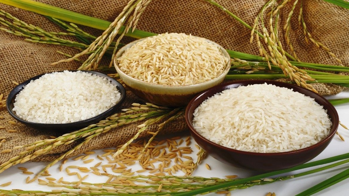 rice 2