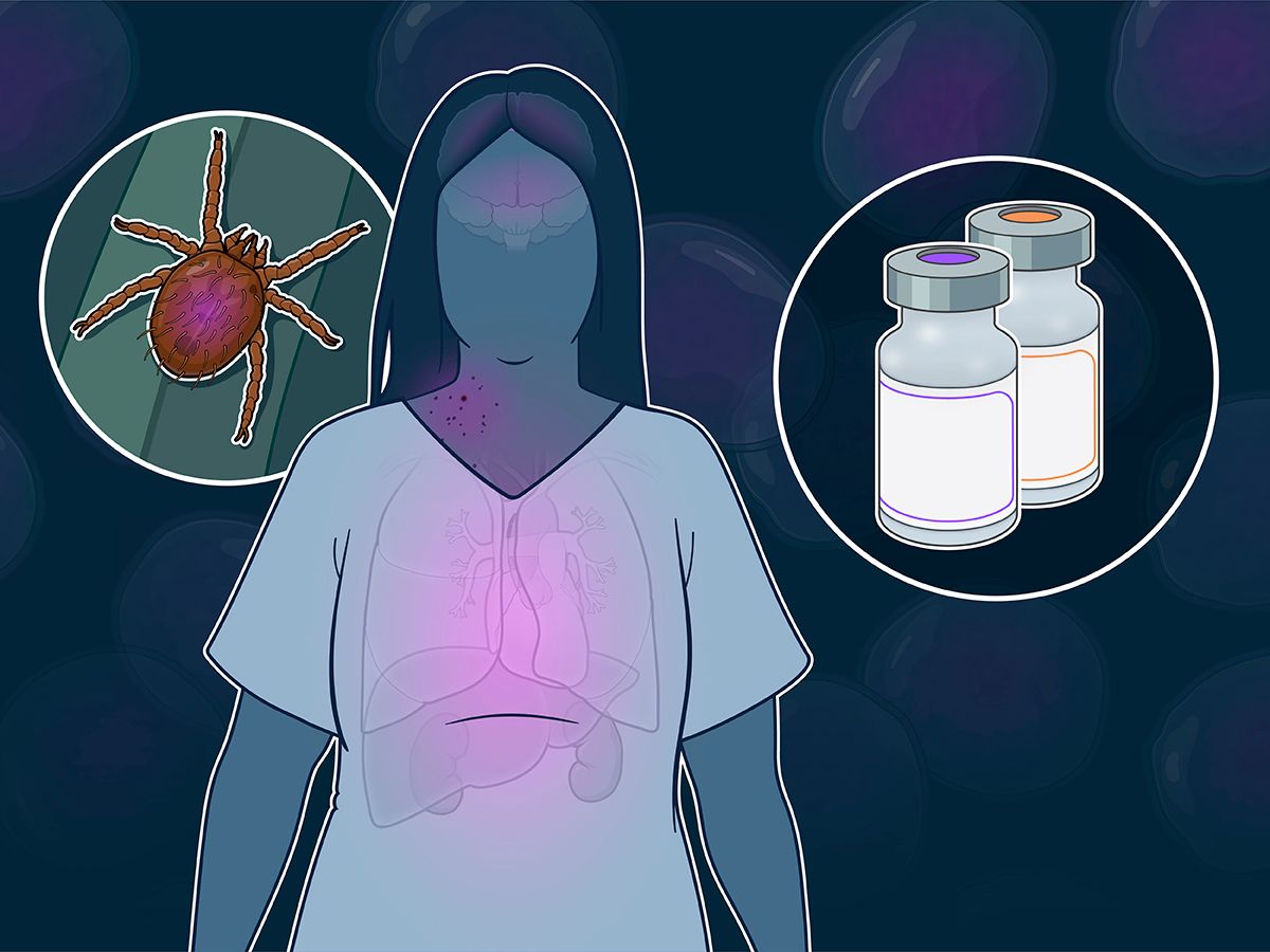 Hech qachon mushuk ichiga surilgan eng katta narsa