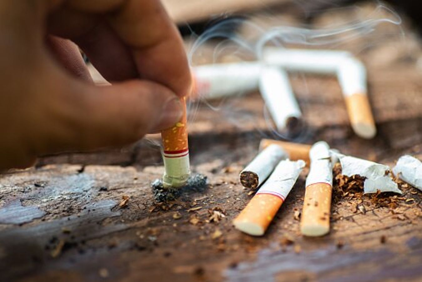 i sometimes smell cigarette smoke New Study Looks at Encoding the Odor of Cigarette Smoke