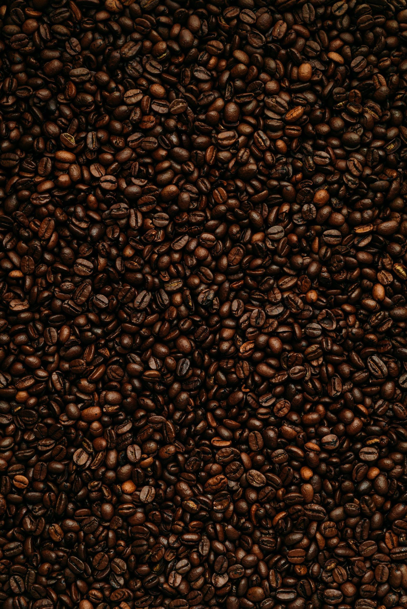 karsten-winegeart-l24eJZ9cIQk-unsplash