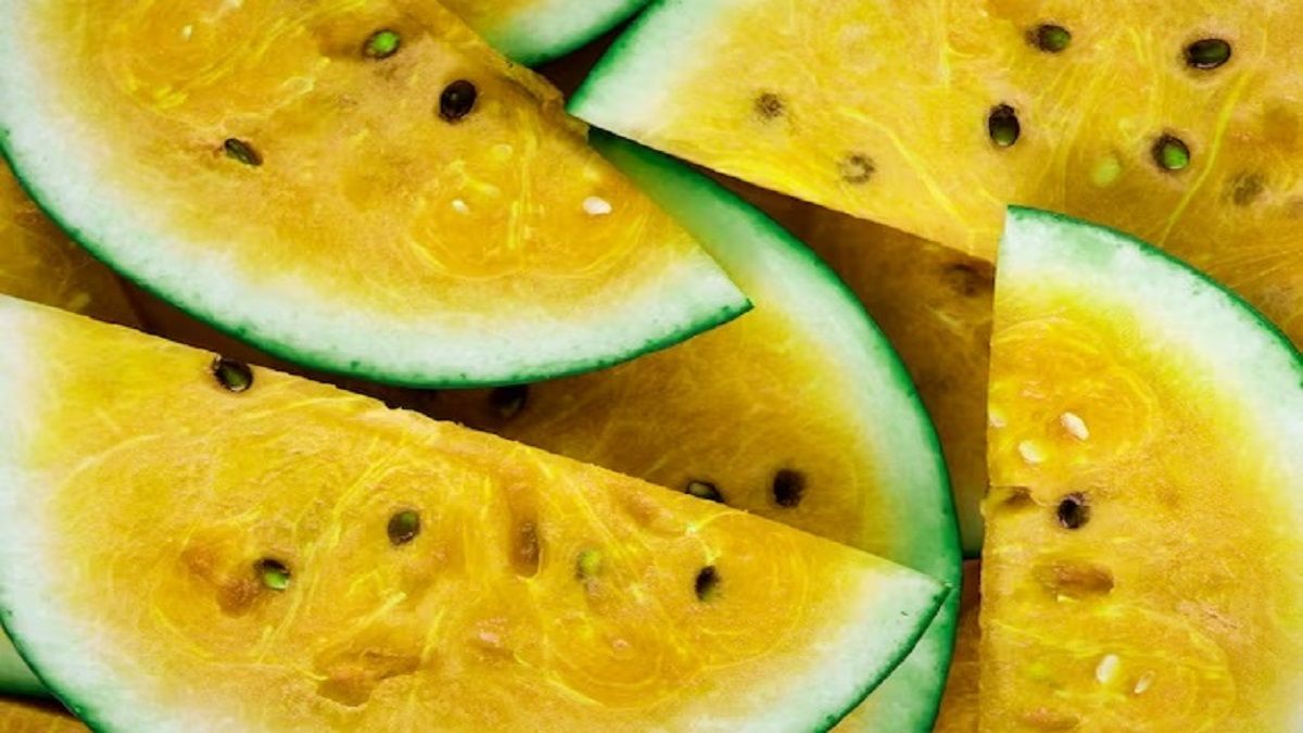 शहद जैसा स्वाद! क्या आपने कभी खाया है पीला तरबूज Yellow watermelon