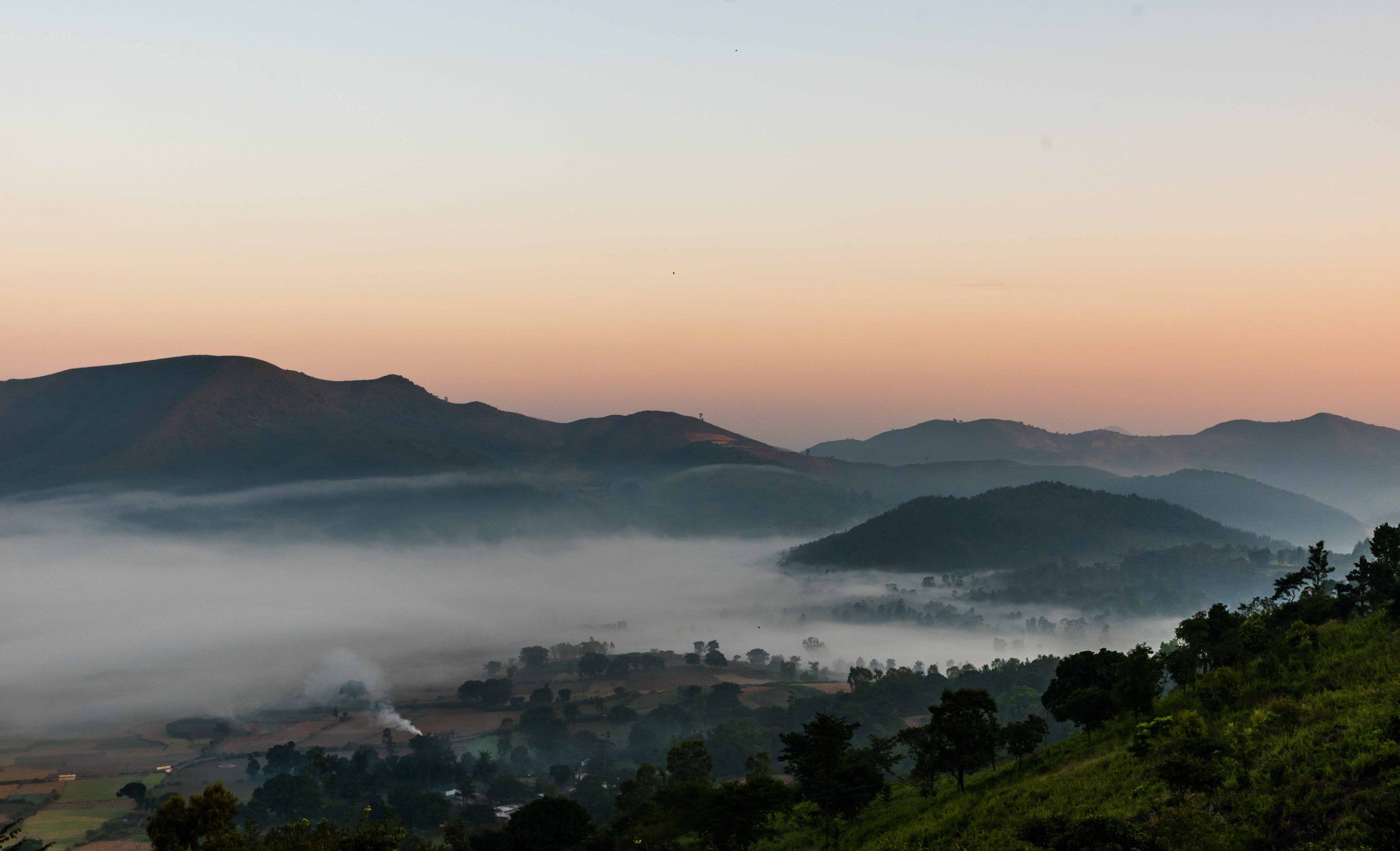 Araku Valley GettyImages 599328315