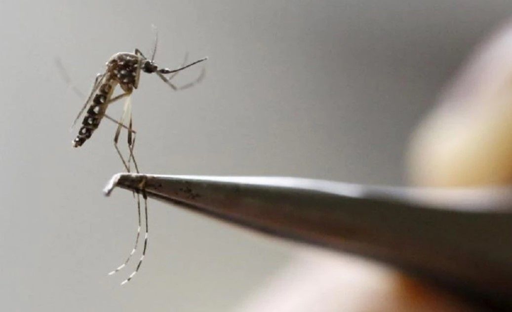 Daddy Daughters tugmasi porno filmlarda sikildi