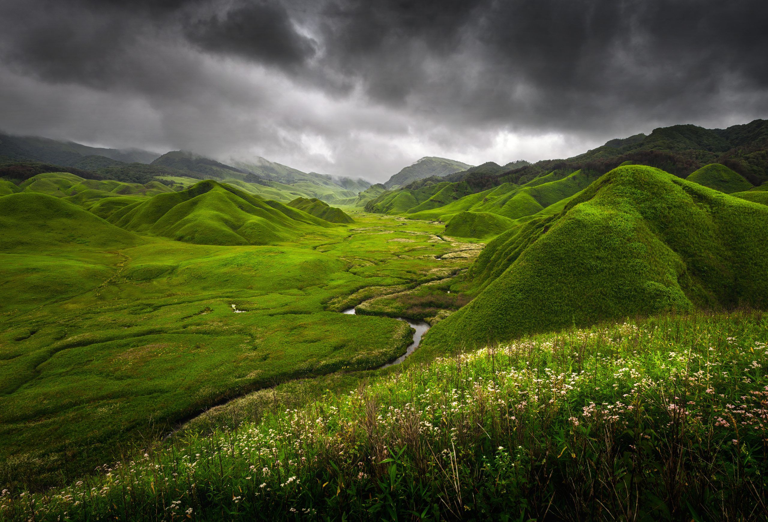 Dzukou Valley GettyImages 979844442