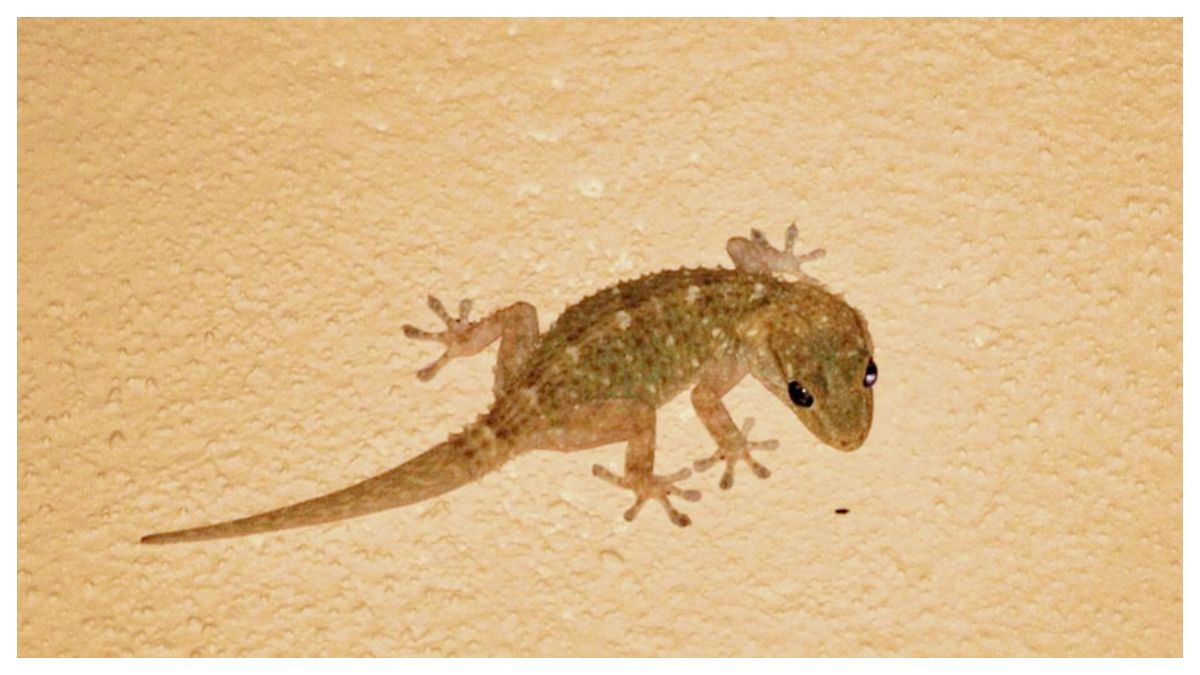 Guruhdagi jinsiy aloqa fotosuratlari