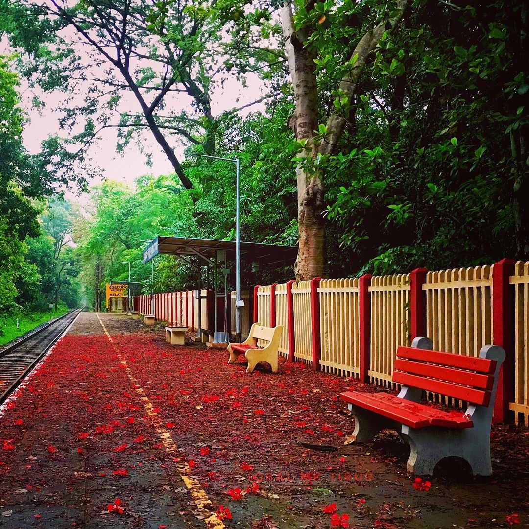 Melattur Railway Station Kerala E3xPyKyXIAAsmae Twitter