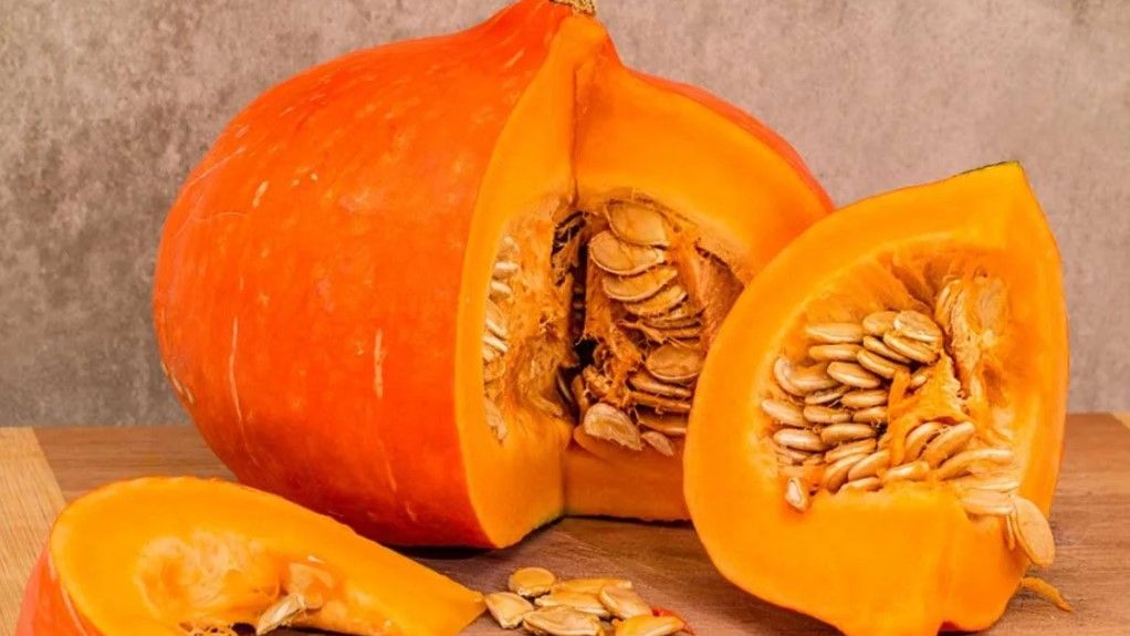 PumpkinSeeds 9
