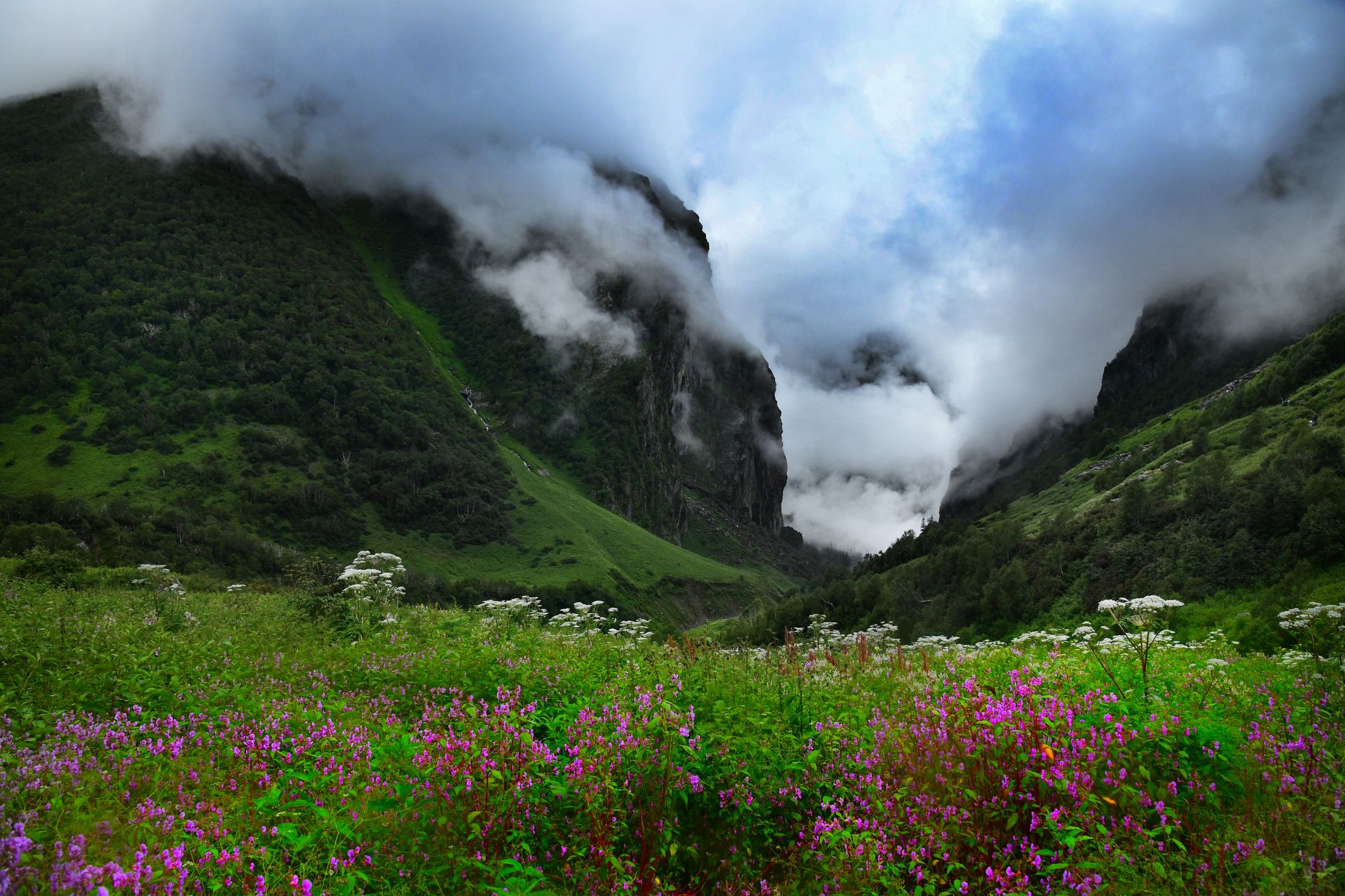 Valley of Flowers Uttarakhand GettyImages 1368625370
