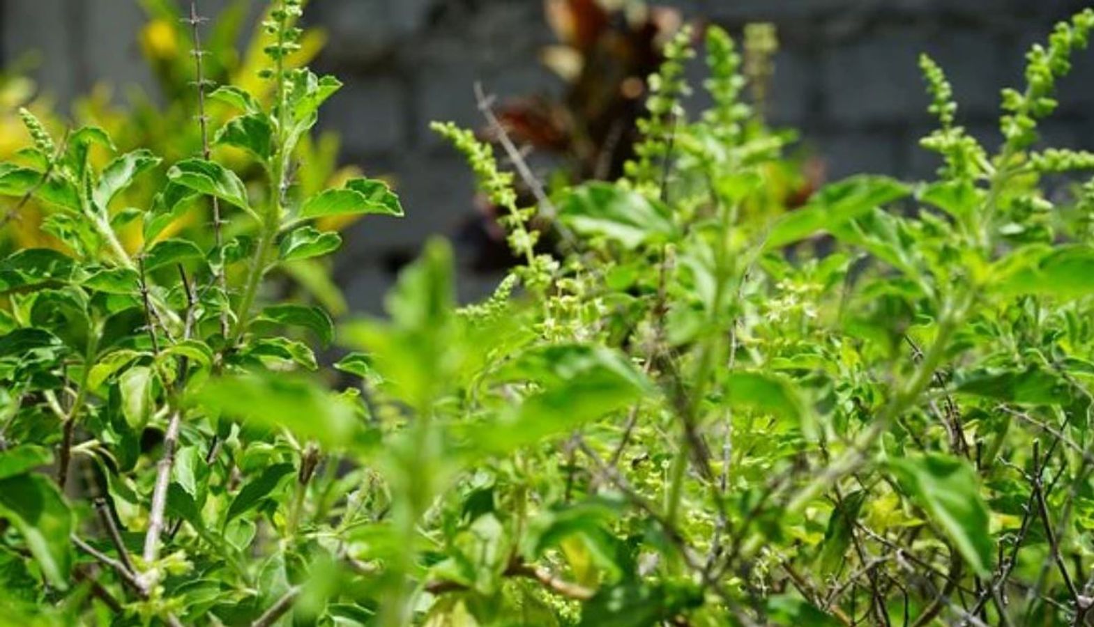 Guruh jinsiy aloqani onlayn tomosha qiling Anastasiya Smirnovaning Meksikada dam olishi seks video