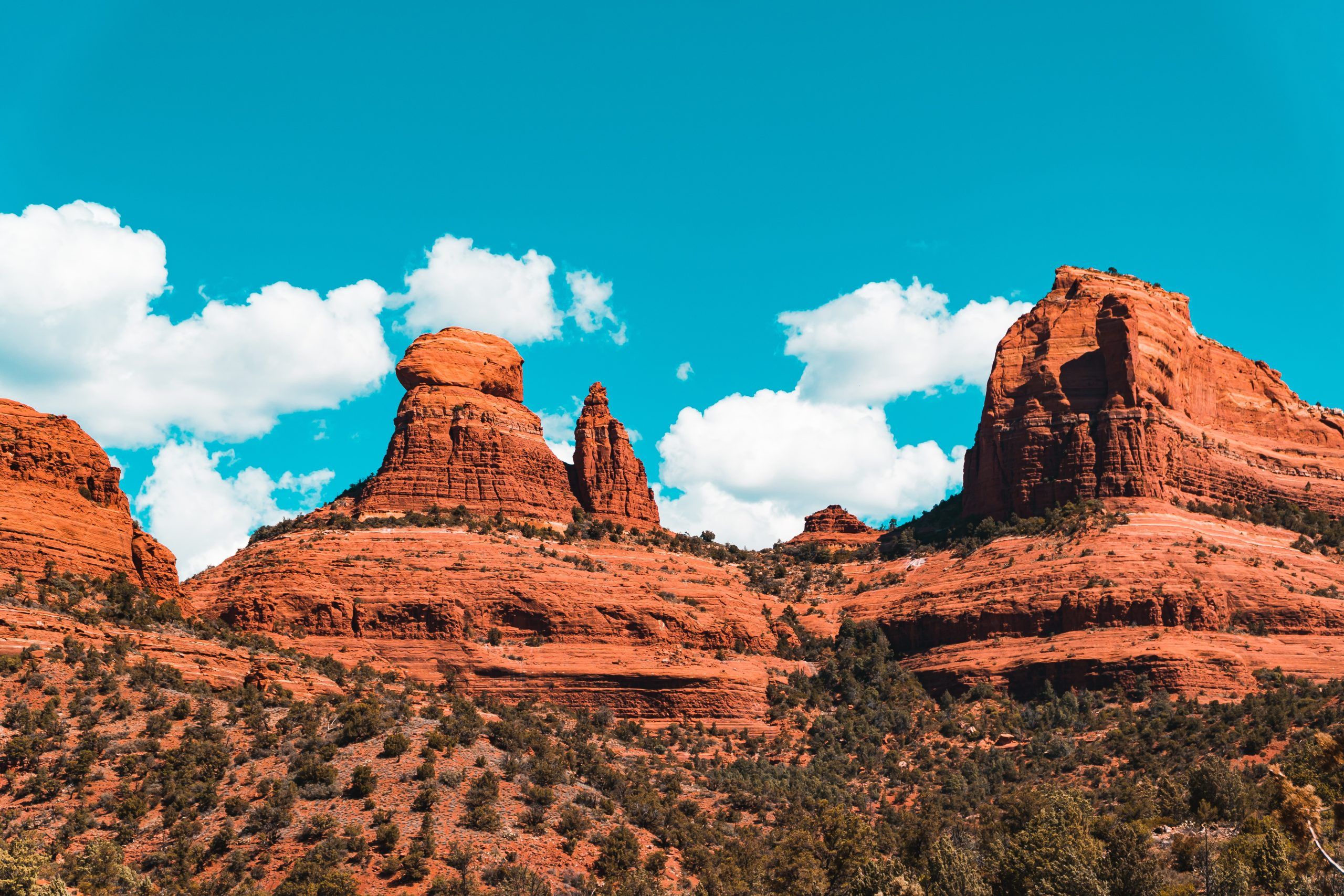 anthony melone YdzWGR7tvQk unsplash
