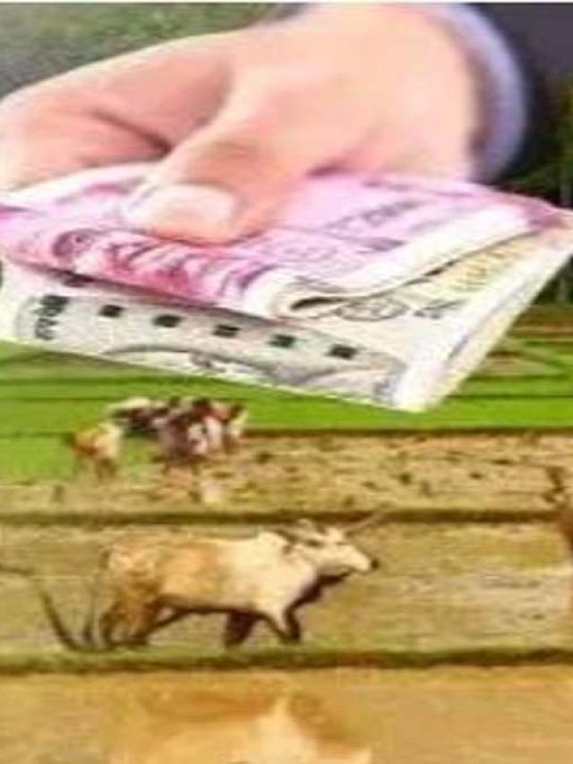 बिजनेस आइडिया देकर पाएं 25 लाख रुपये, किसानों के लिए शानदार मौका