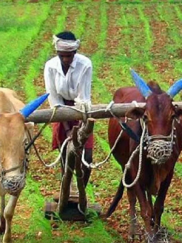 किसानों की मदद करेगा पीएम किसान AI चैटबॉट, जानें कैसे करेगा काम