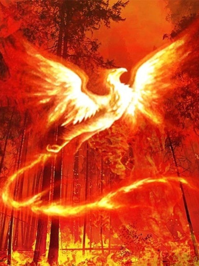 घर में लगा लें इस पक्षी की तस्वीर, हमेशा बनी रहेगी खुशहाली