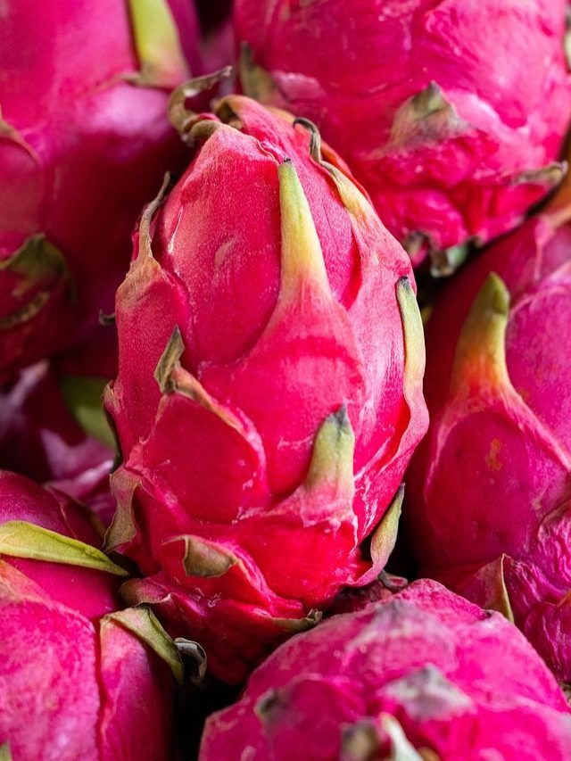 ड्रैगन फ्रूट लगाइए, 50 हजार रुपये ले जाइए, जानें क्या है स्कीम