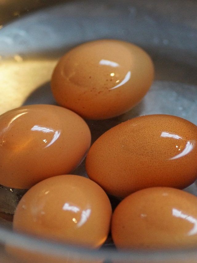 कभी ना फेंके उबले अंडे का पानी, पौधों की ग्रोथ में ऐसे आएगा काम