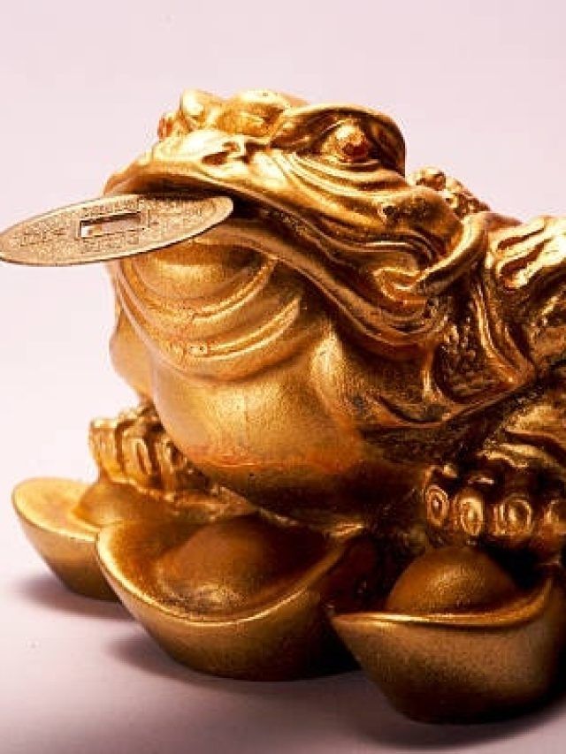 घर की इस दिशा में रख दें फेंगशुई मेंढक, पैसों से भर जाएगी तिजोरी