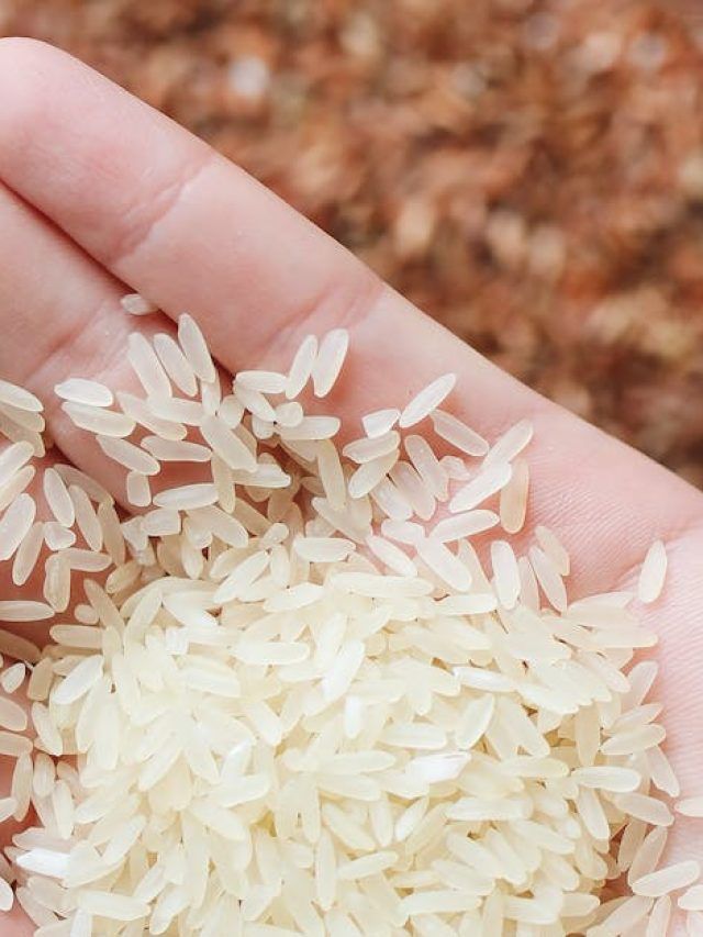 चावल में आने लगती है महक? ऐसे करें स्टोर, कीड़े भी रहेंगे दूर