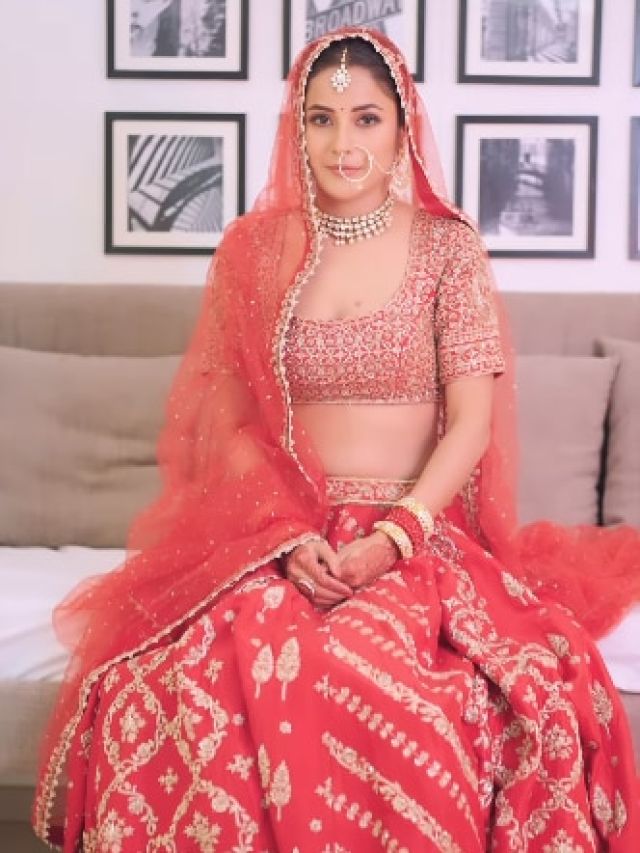 शहनाज संग रिलेशनशिप में फेमस एक्टर? अफेयर पर बोले- मैंने शादी...