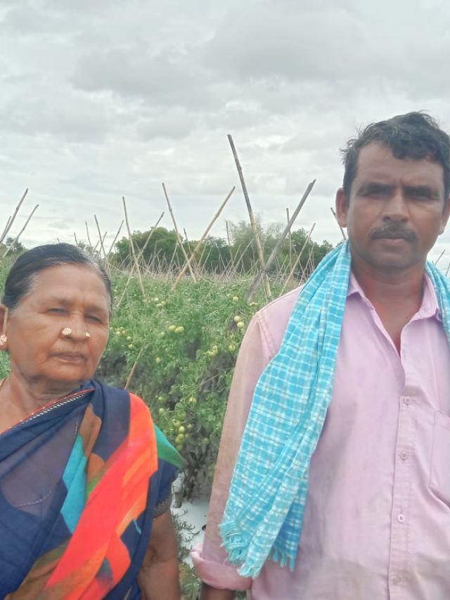 किसान ने टमाटर बेचकर 45 दिनों में कमा डाले 3 करोड़ रुपये