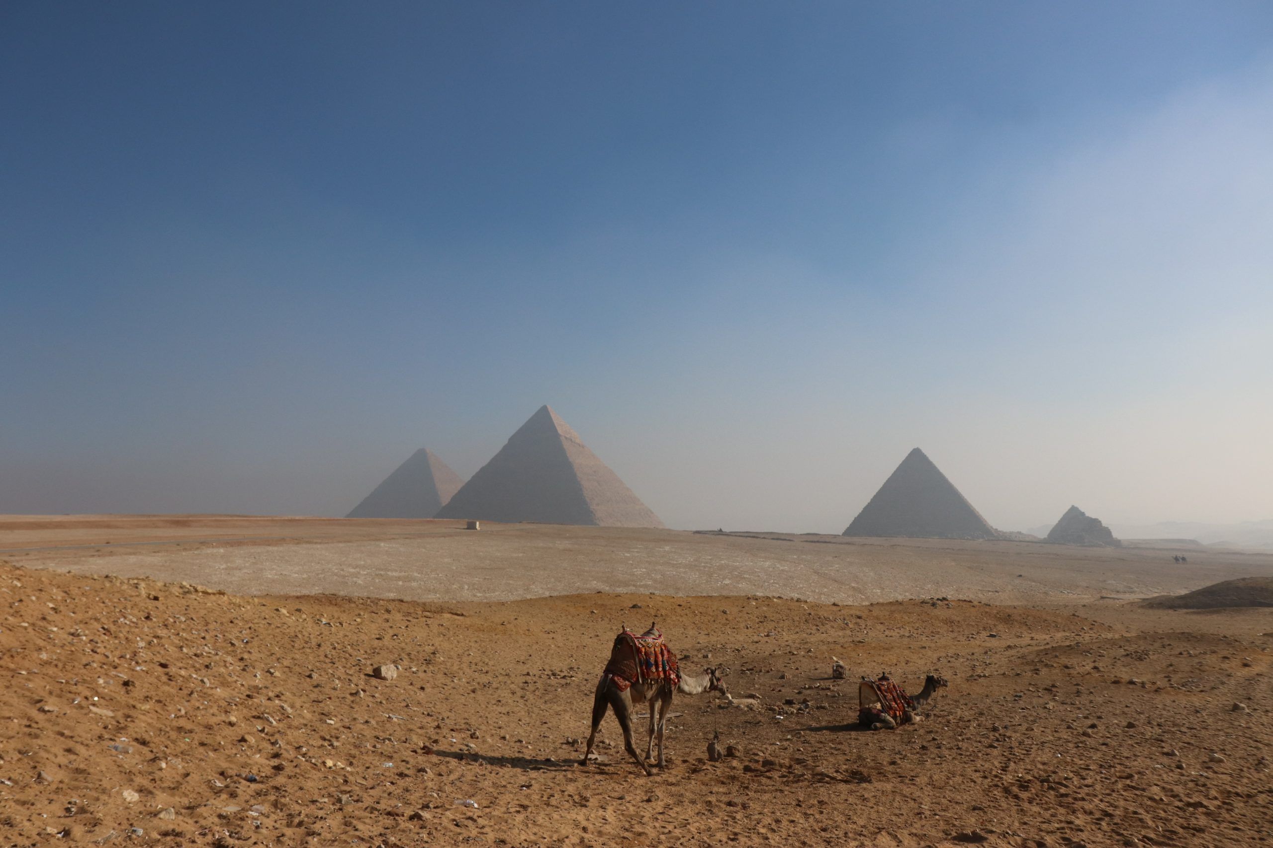emily liang hpZdBhkUClk unsplash