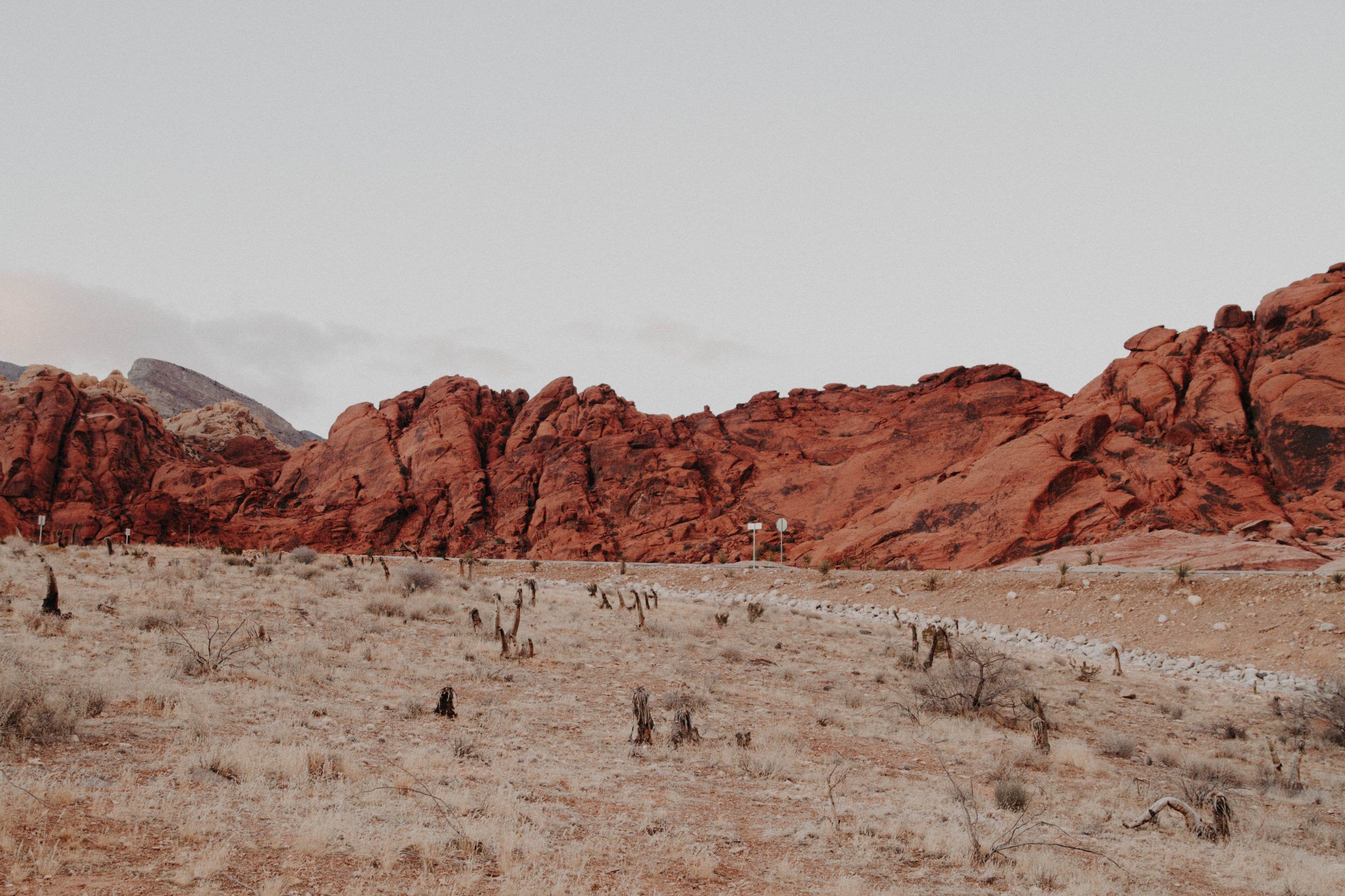 kenny eliason C8HVCiuu8c0 unsplash