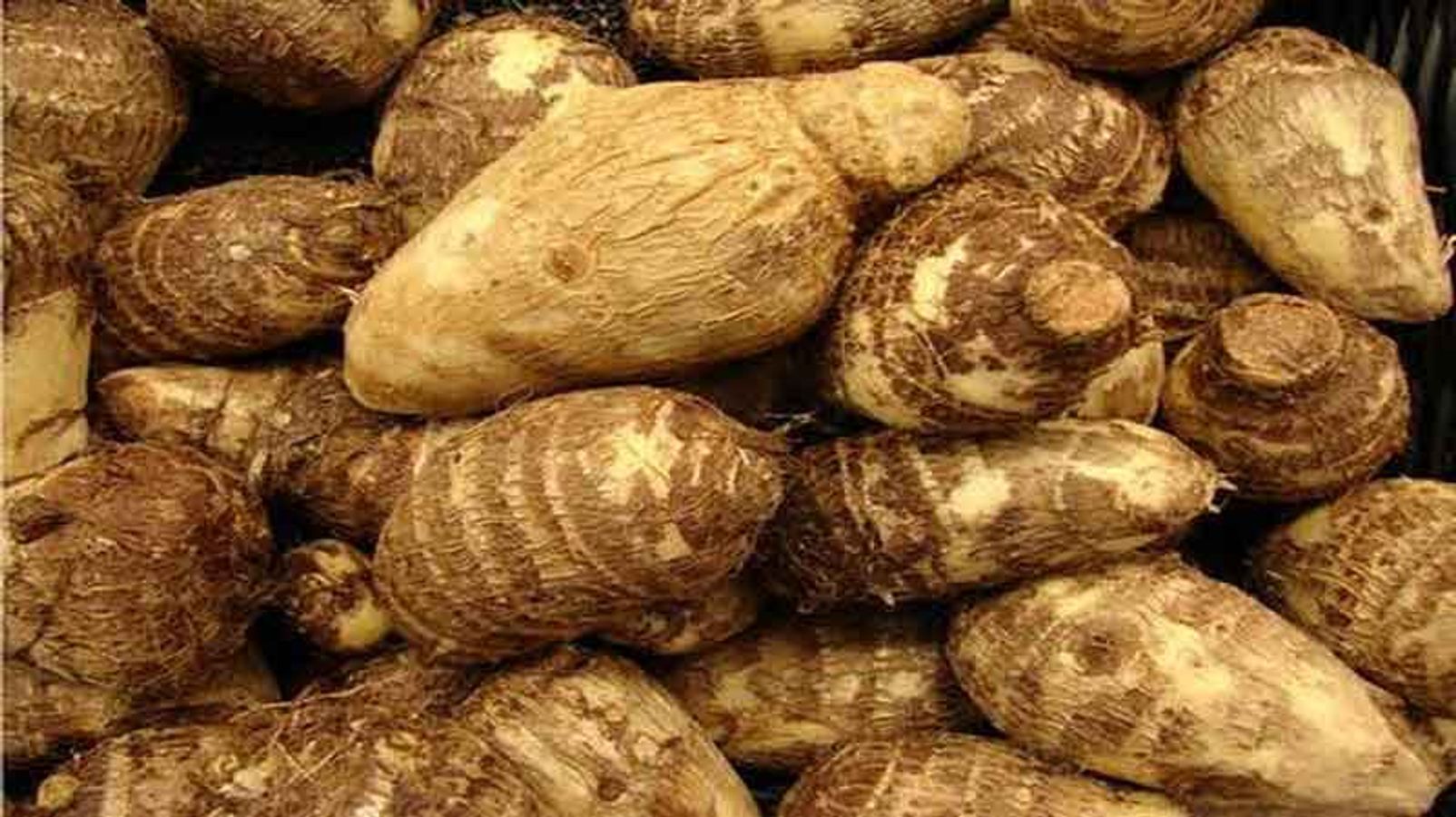 Ser Devid porno aktyori Porno yulduz Katarina Dubrova