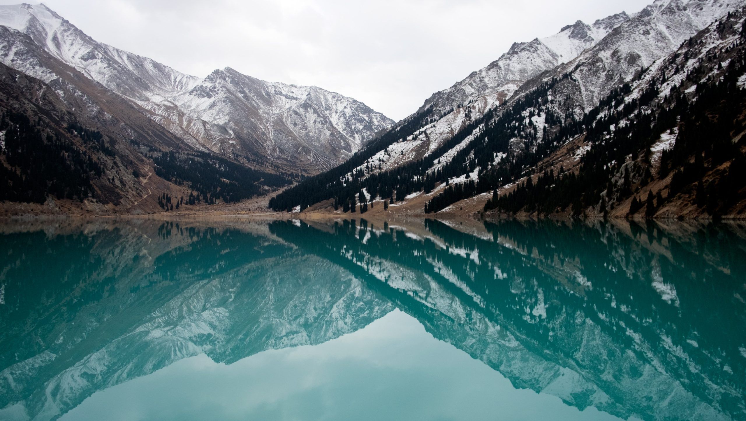 polina skaia ToJNyWpDn9I unsplash