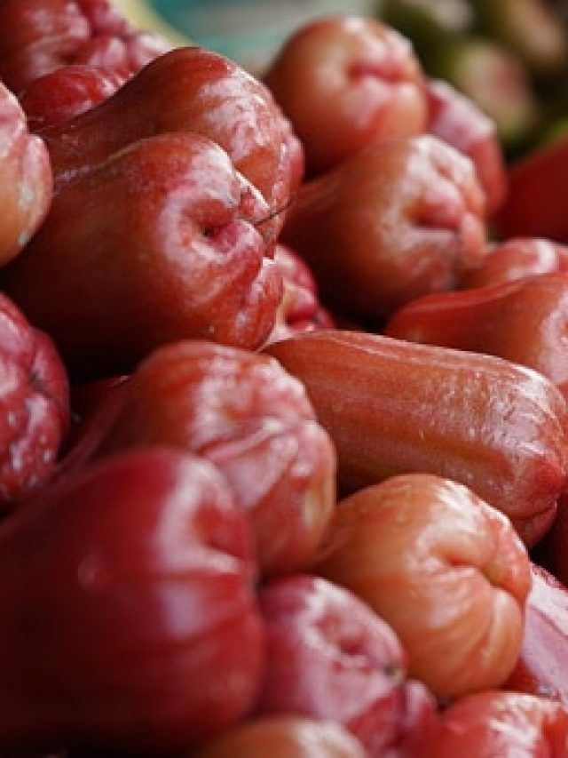 गुलाब जामुन मिठाई तो खूब खाई होगी, कभी चखा है गुलाब जामुन फल का स्वाद?