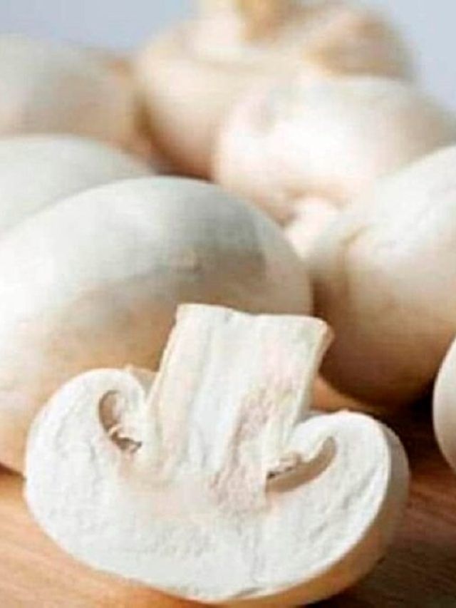 मशरूम से बना सकते हैं कुकीज-चिप्स जैसे आइटम, किसानों को होगी बंपर कमाई