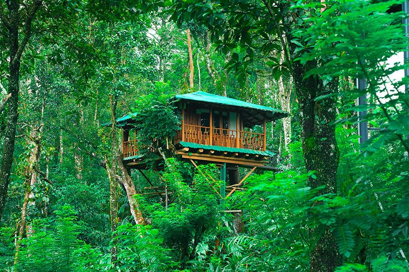 tree house